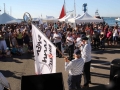 2015 Grdes régates Port Nav (8).jpeg
